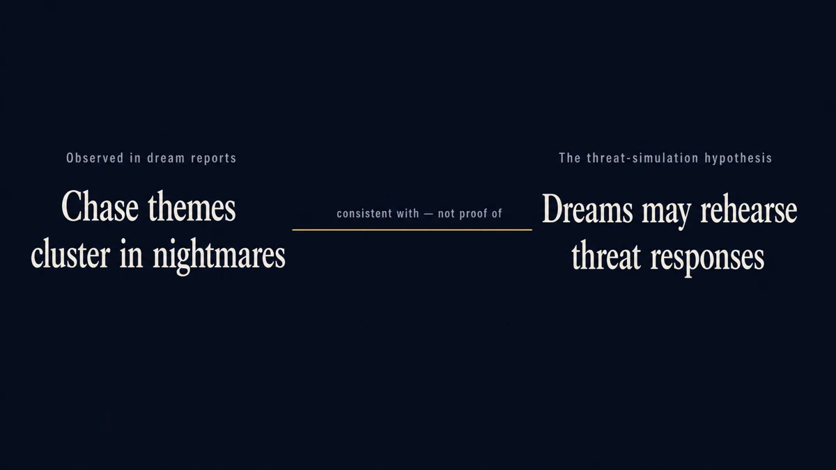 Concept diagram separating an observation from a hypothesis: chase themes cluster in nightmare reports, which is consistent with but does not prove the idea that dreams may rehearse threat responses.