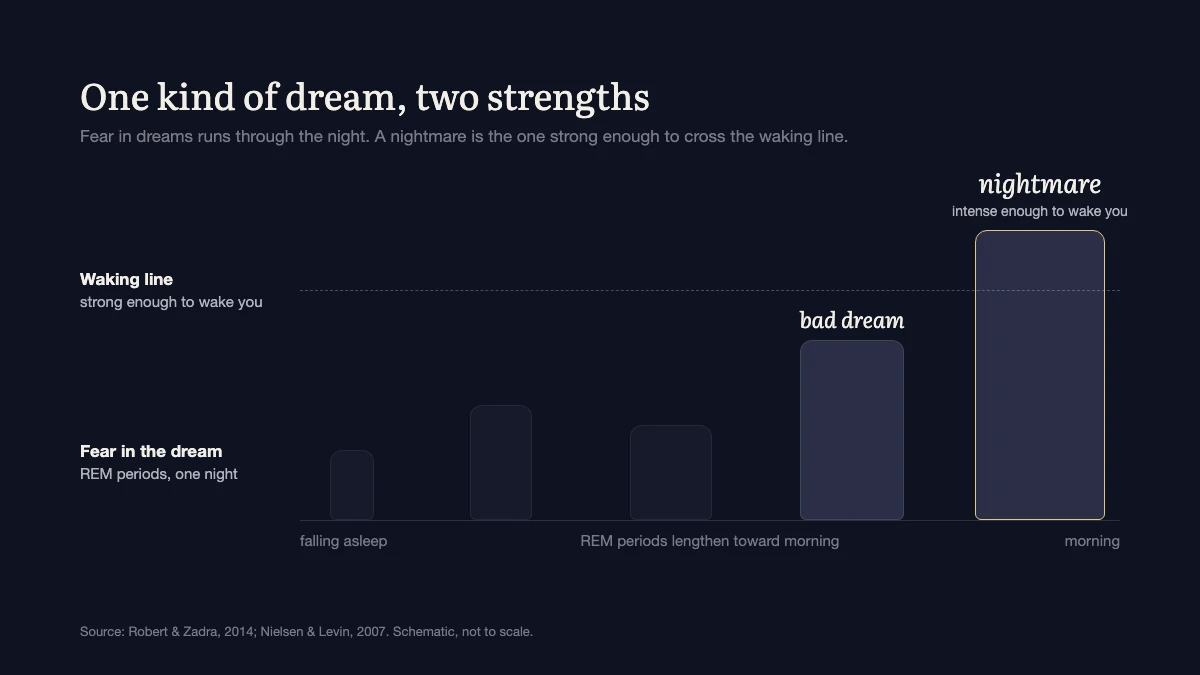 Schematic of one night's REM periods as bars that lengthen toward morning, each bar's height showing the fear in that dream. A dashed waking line runs across; a bad dream rises close to it, and the last, longest bar, outlined in gold and labeled nightmare, crosses it.